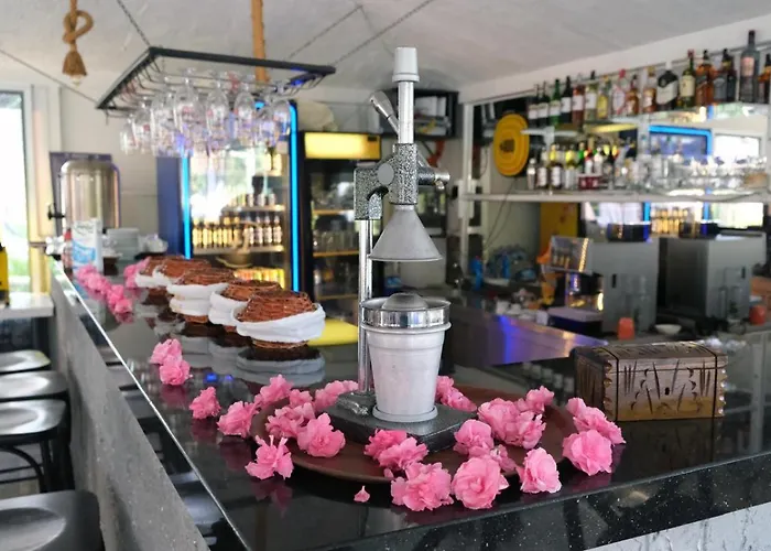 Sardunya Hotell Fethiye