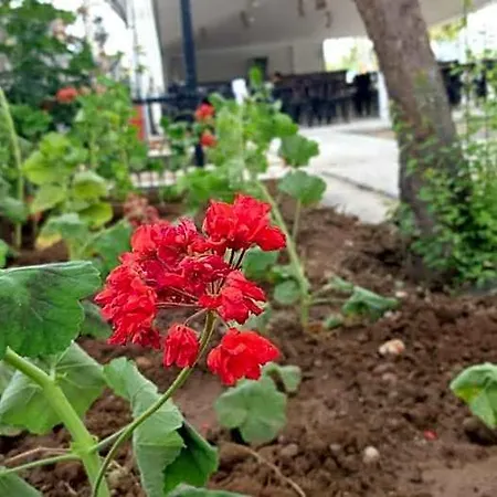 Sardunya Hotel