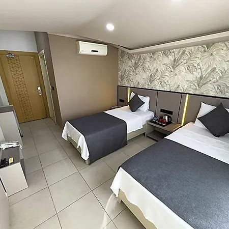 Sardunya 3*