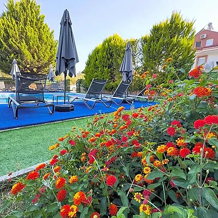 Hotel Sardunya