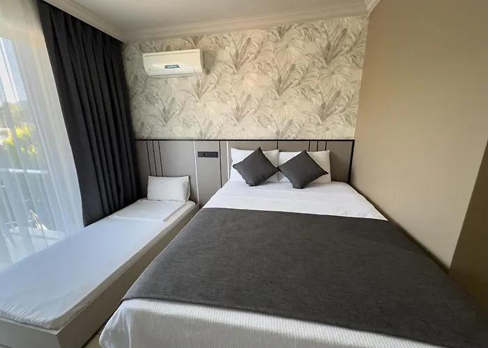 Sardunya 费特希耶