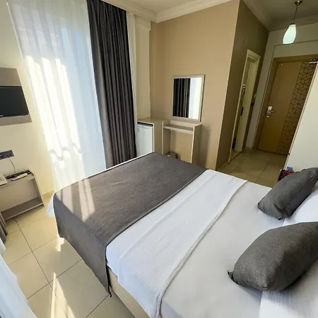 Sardunya フェティエ